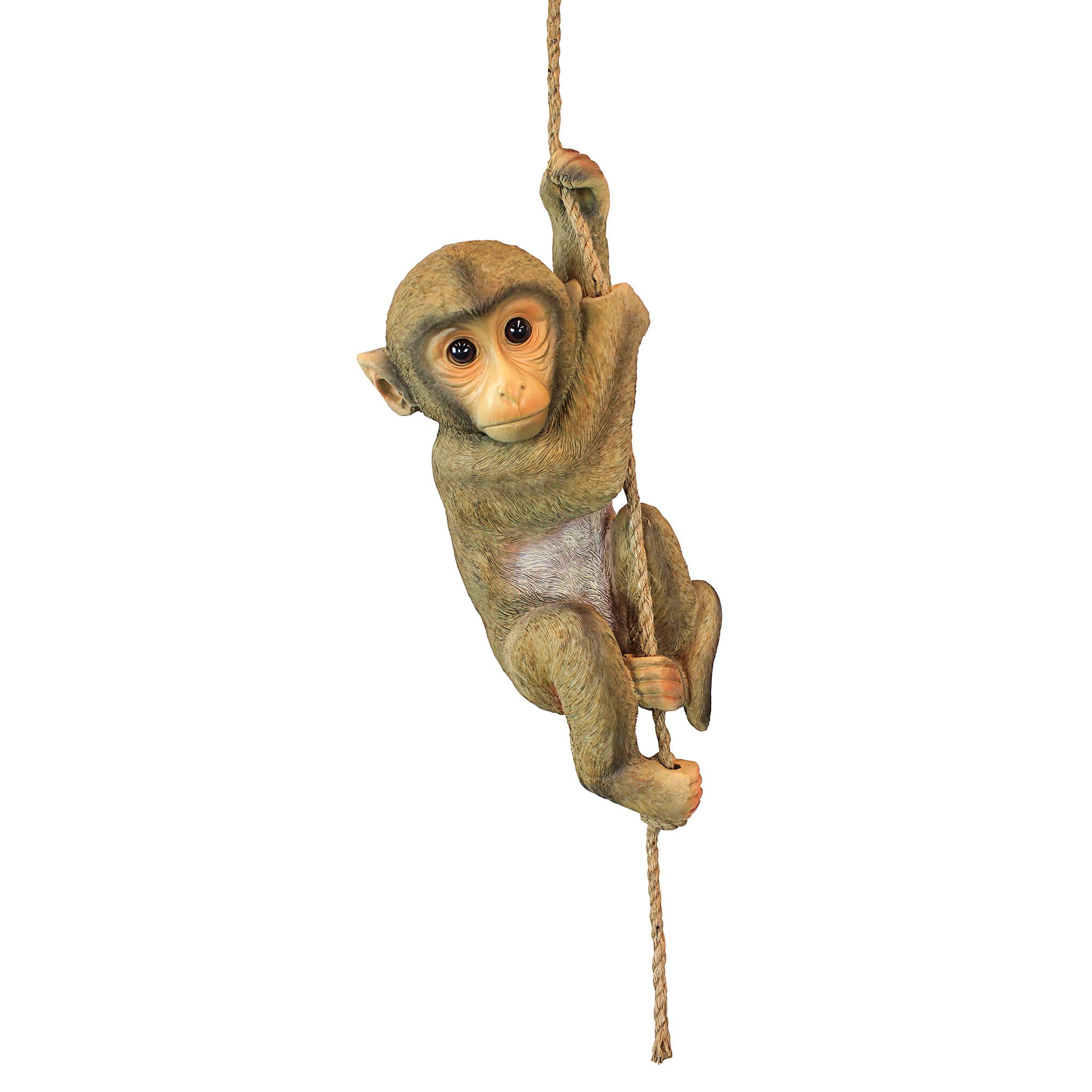 Design Toscano QM2673300 Chico the Chimpanzee Baby Monkey Hanging Animal Statue, 40.75 cm, Polyresin, Full Color