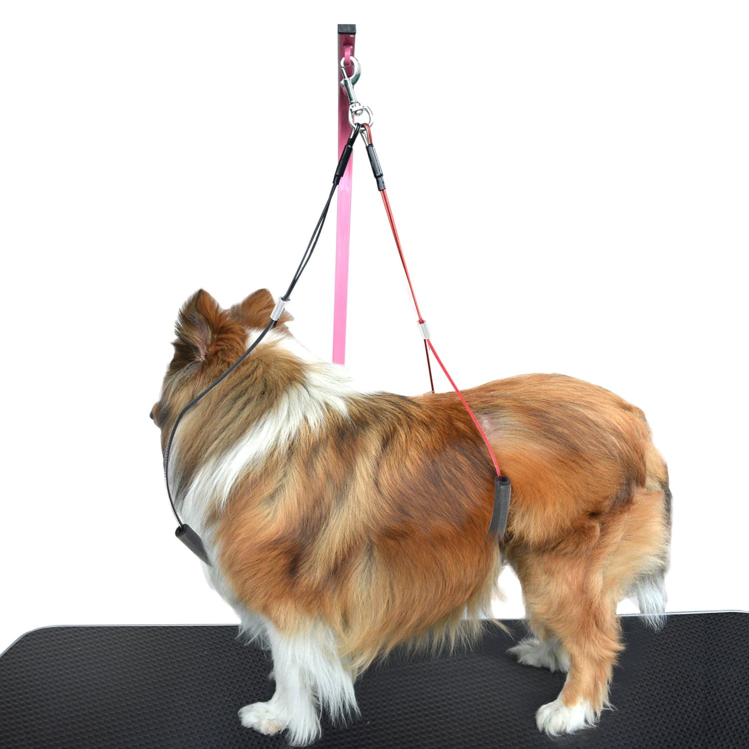 SHELANDY Pet Haunch Holder Dog Grooming Loop Restraint for Small Large Dogs (Large)