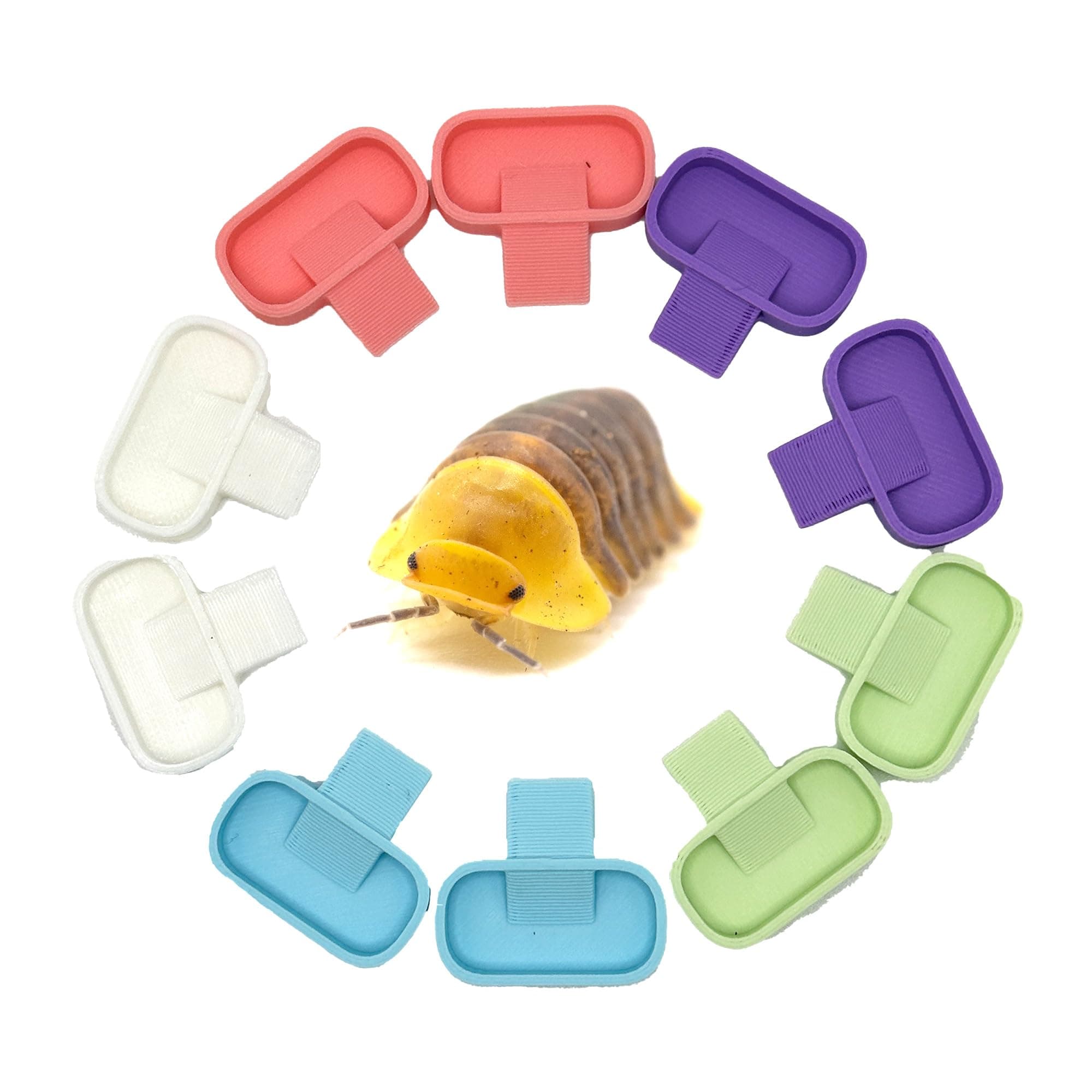 - Isopod 10 Pack Feeding Dish | Isopod Food Tray | Insect Dish | Insect Feeder | CTWPets (Pastel Tones)
