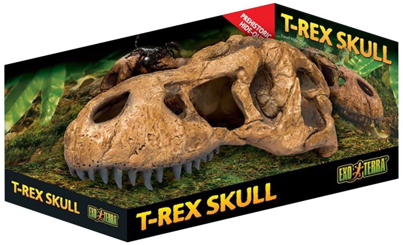 T-Rex Skull Terrarium Decor