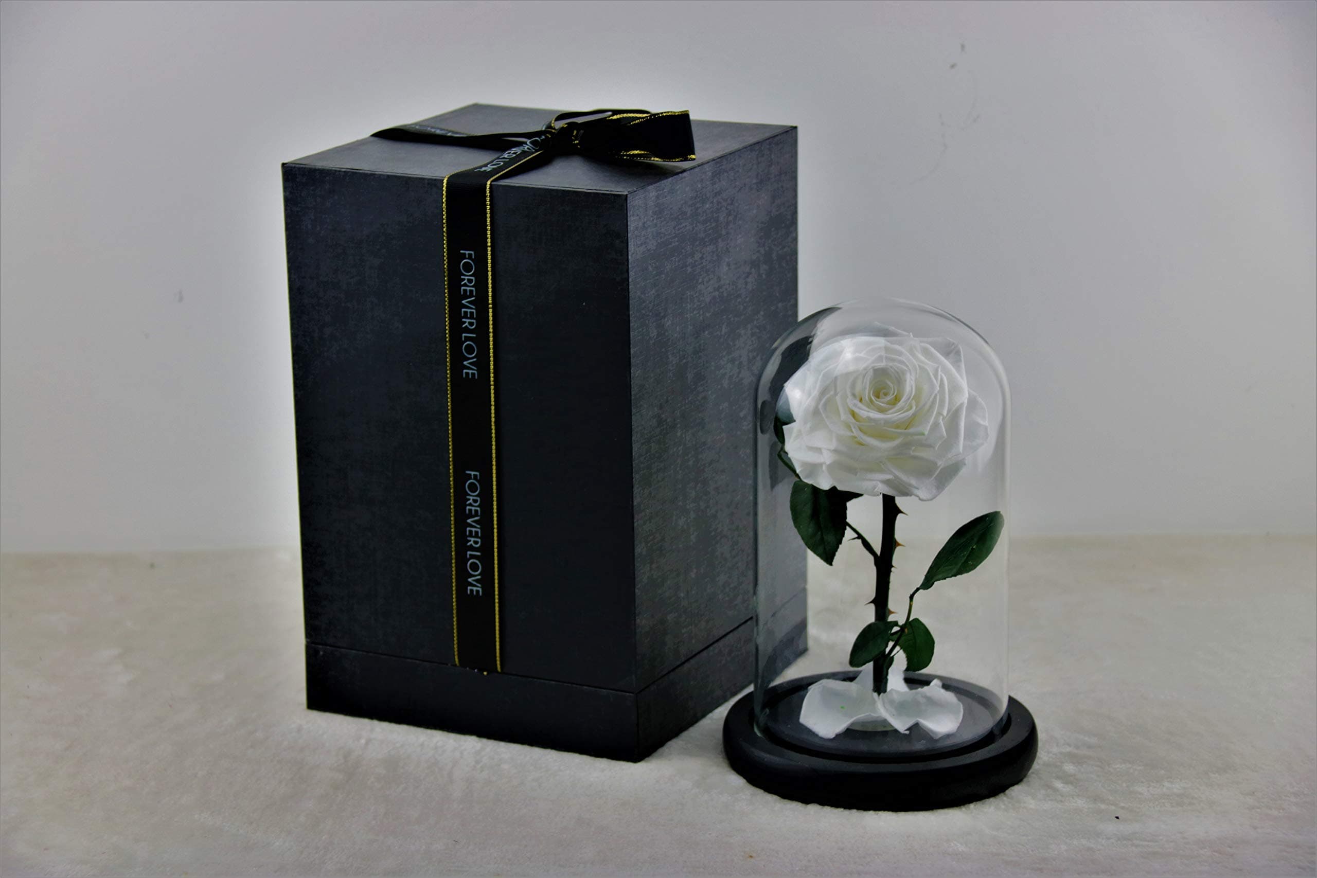 Preserved Rose Never Withered Roses Flower in Glass Dome, Gift for Valentine's Day Anniversary Birthday Mother's Day (Small, White)