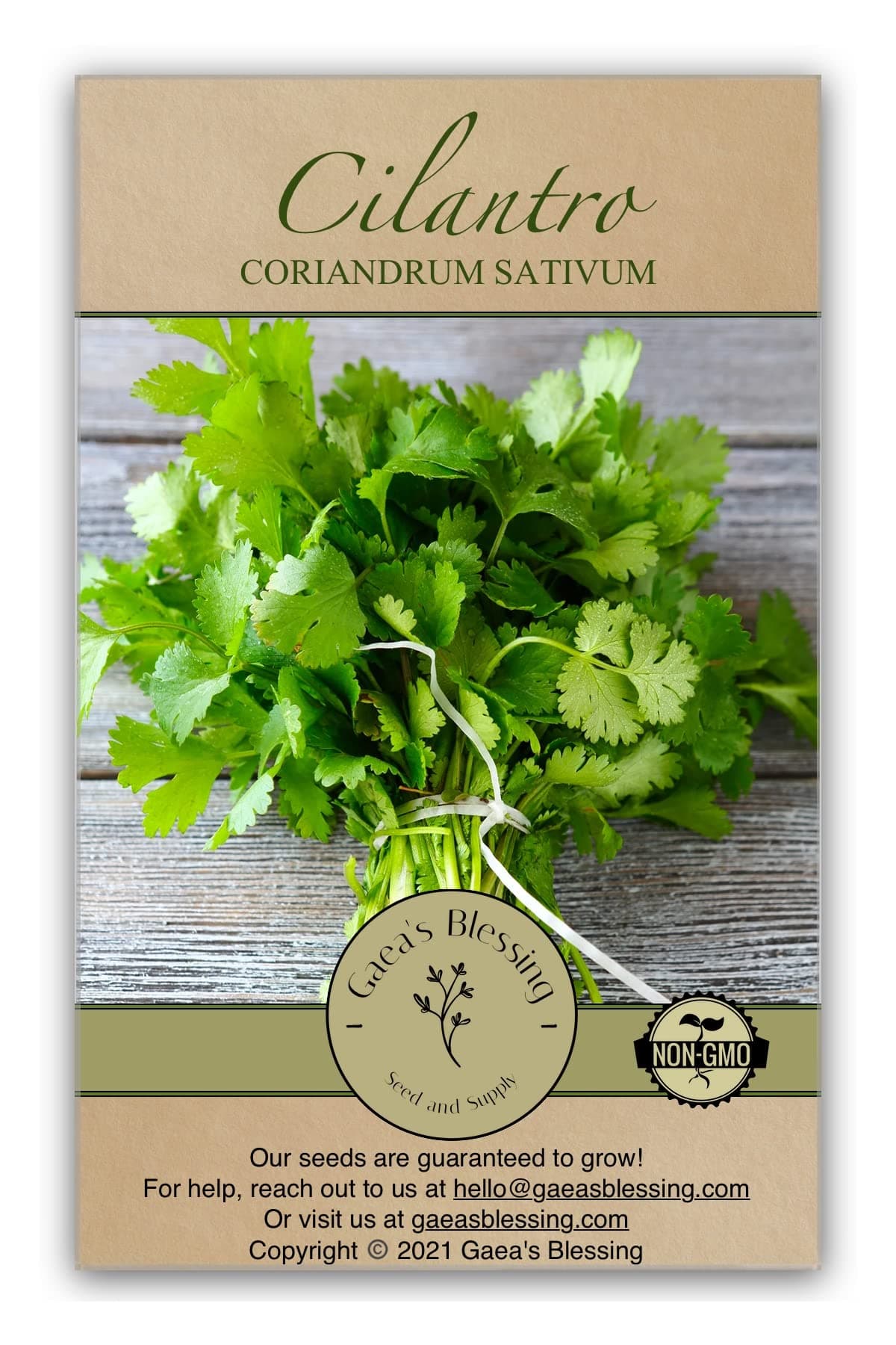 Gaea's Blessing Seeds - Cilantro Seeds - Leisure - Non-GMO Heirloom Seeds with Easy to Follow Instructions - 90% Germination Rate
