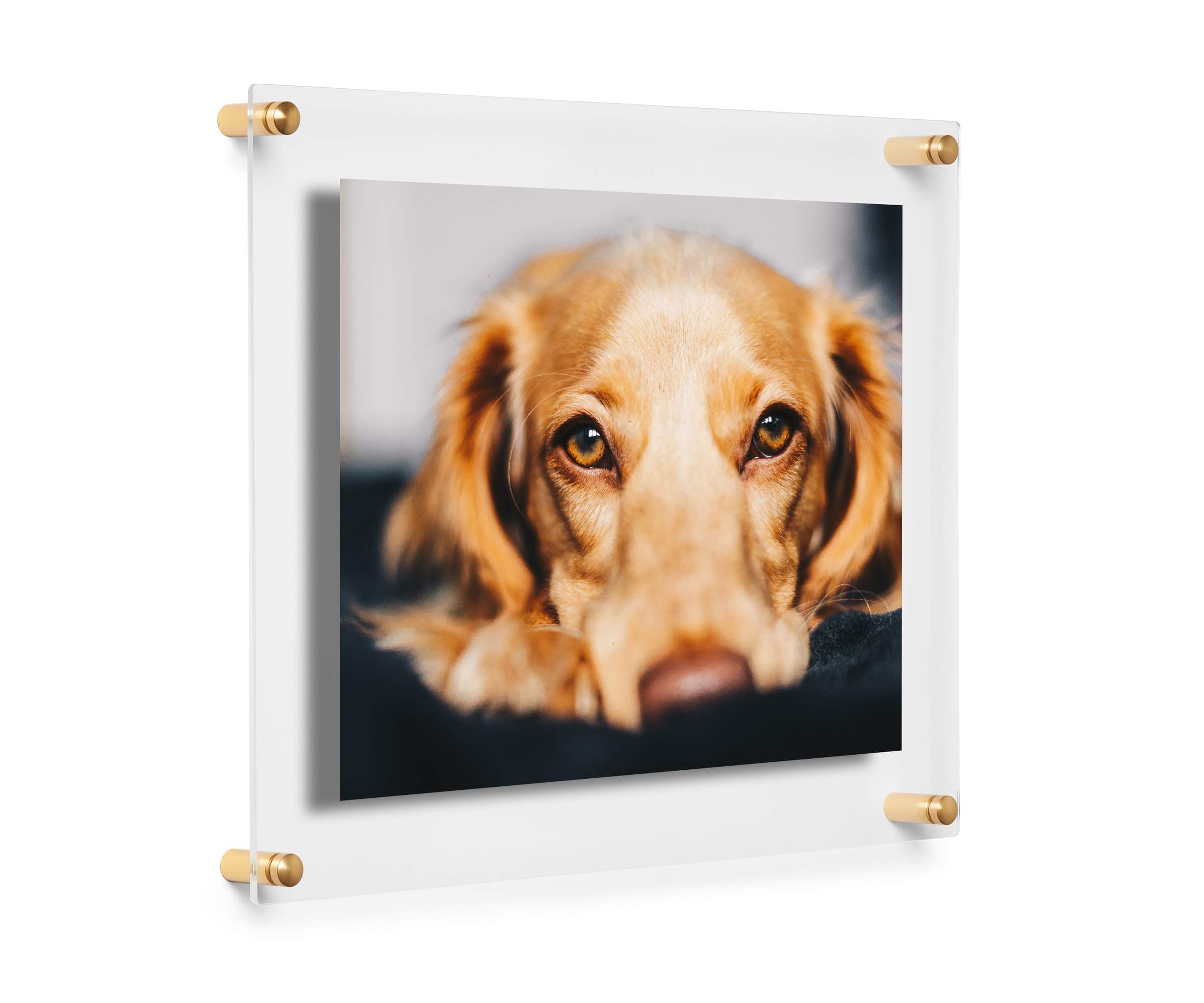 8x10" Clear Double Panel Floating Acrylic Picture Frame Display with Gold Hardware for Displaying Art and Photos on Wall