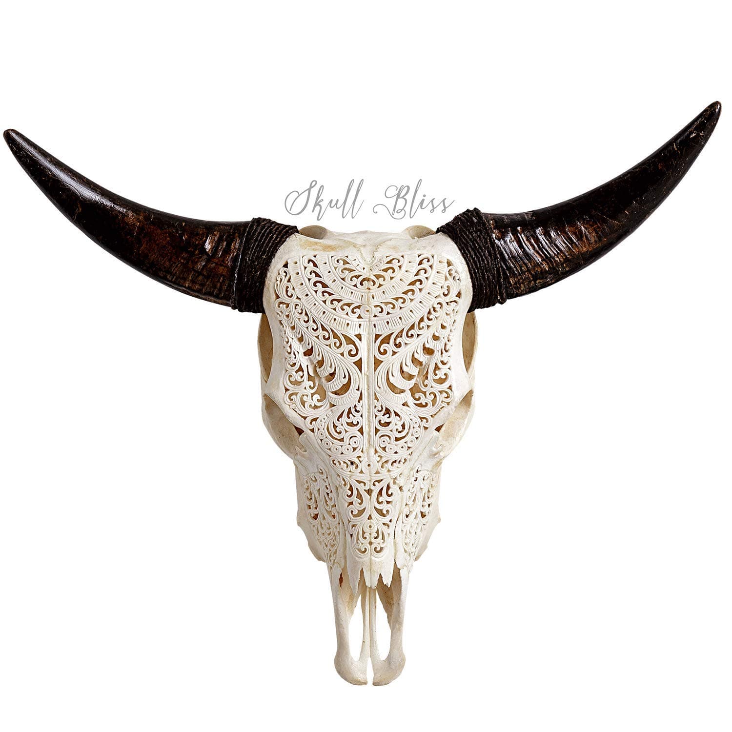 25'' Real Cow Skull with Horns & Carving - Made by SkullBliss