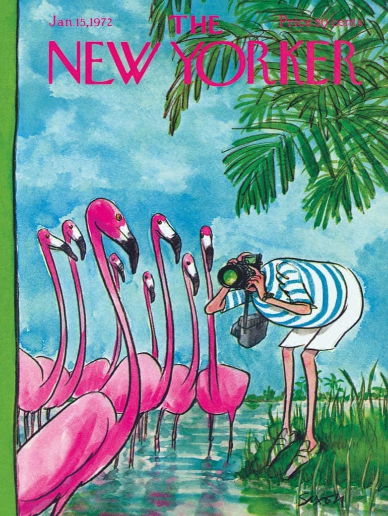 Puzzle (500pc) New Yorker : Flamingo Photographer