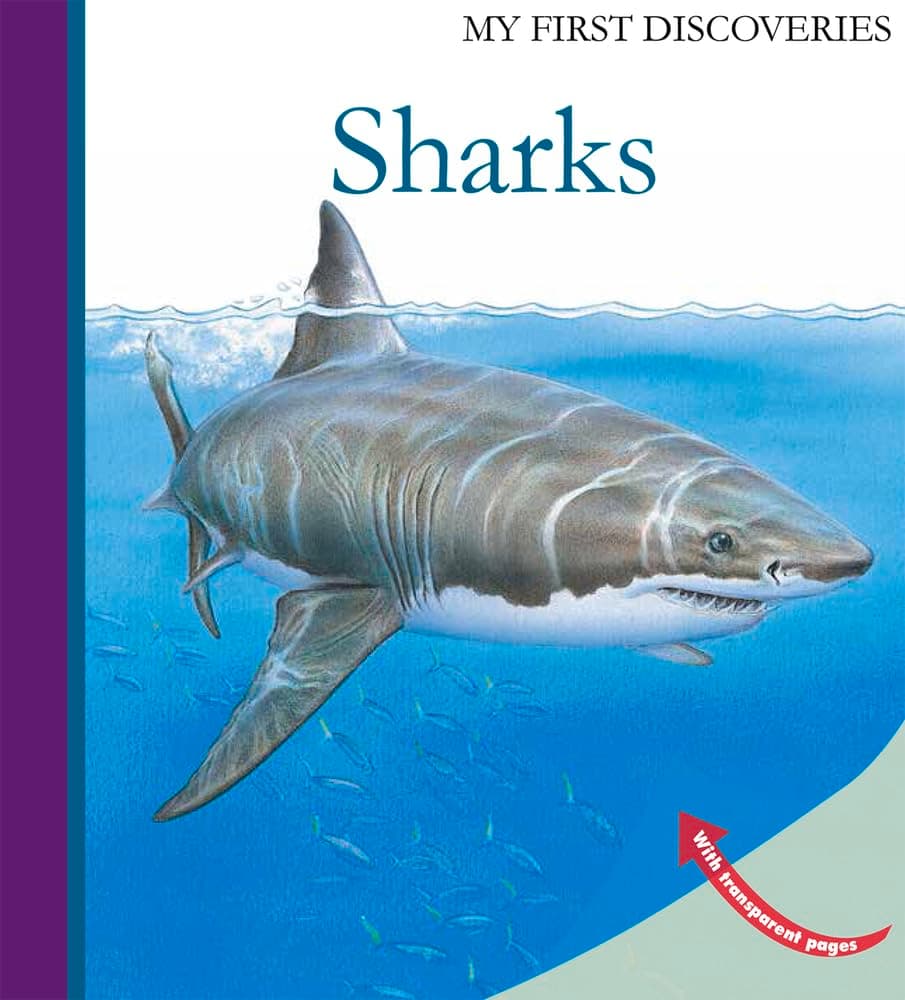 Sharks (My First Discoveries)