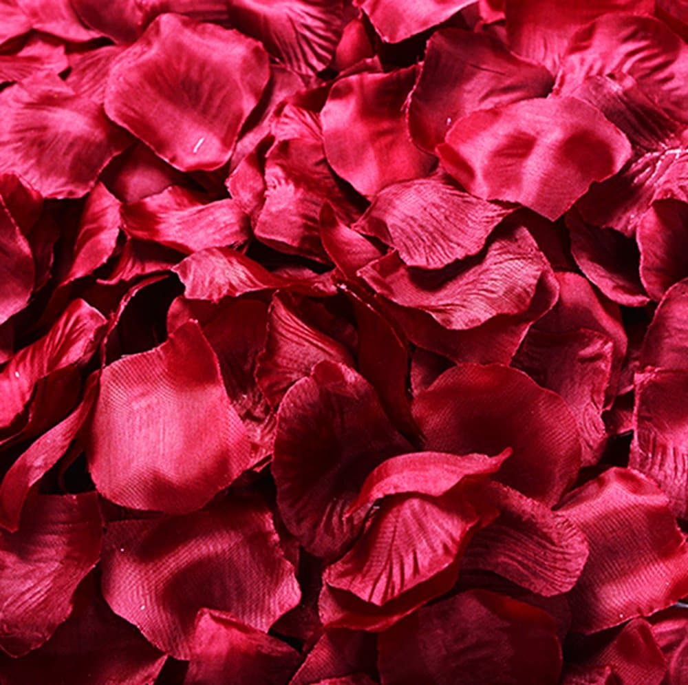 JoyAcc 1000 PCS Artificial Rose Flower Silk Rose Petals for Party, Wedding Decoration, Wine Red