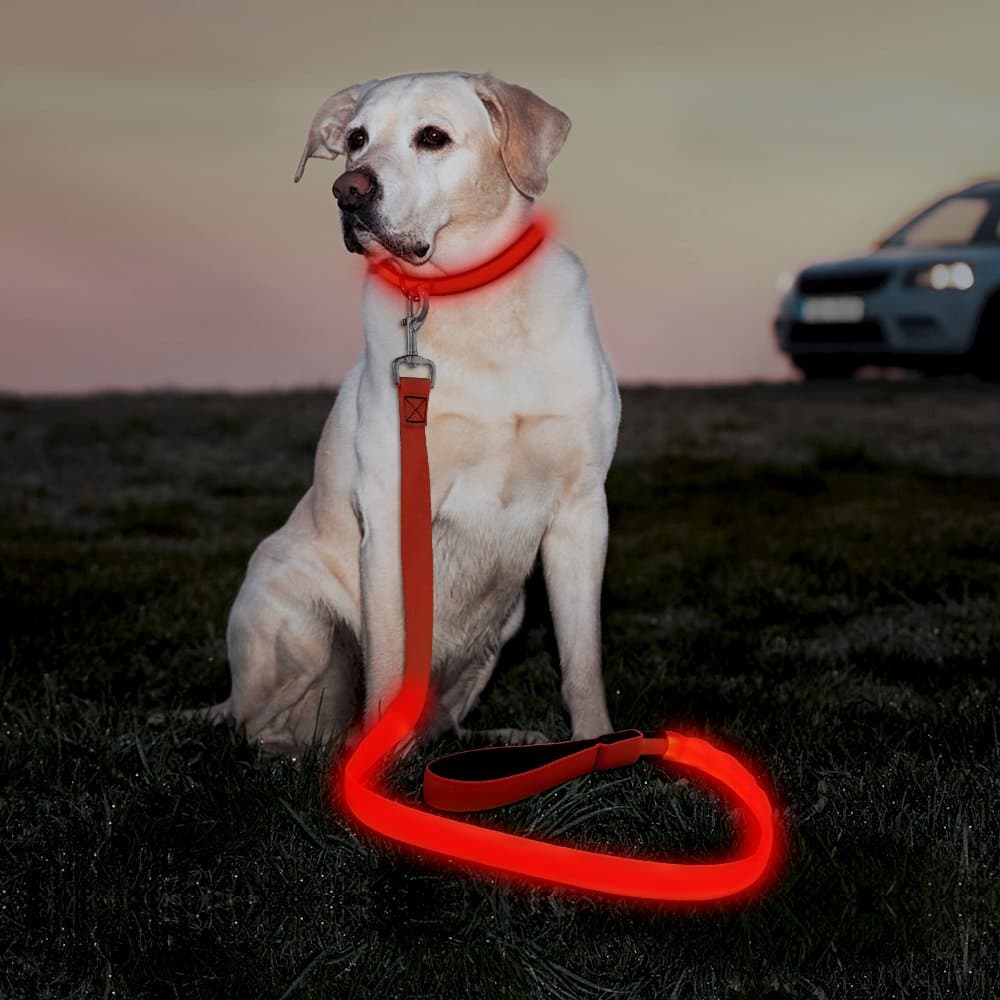 Illumifun LED Dog Leash, USB Rechargeable Light Up Dog Lead, 47.2inch Nylon Glowing Pet Leash for Your Night Dog Walking (Redโ
)
