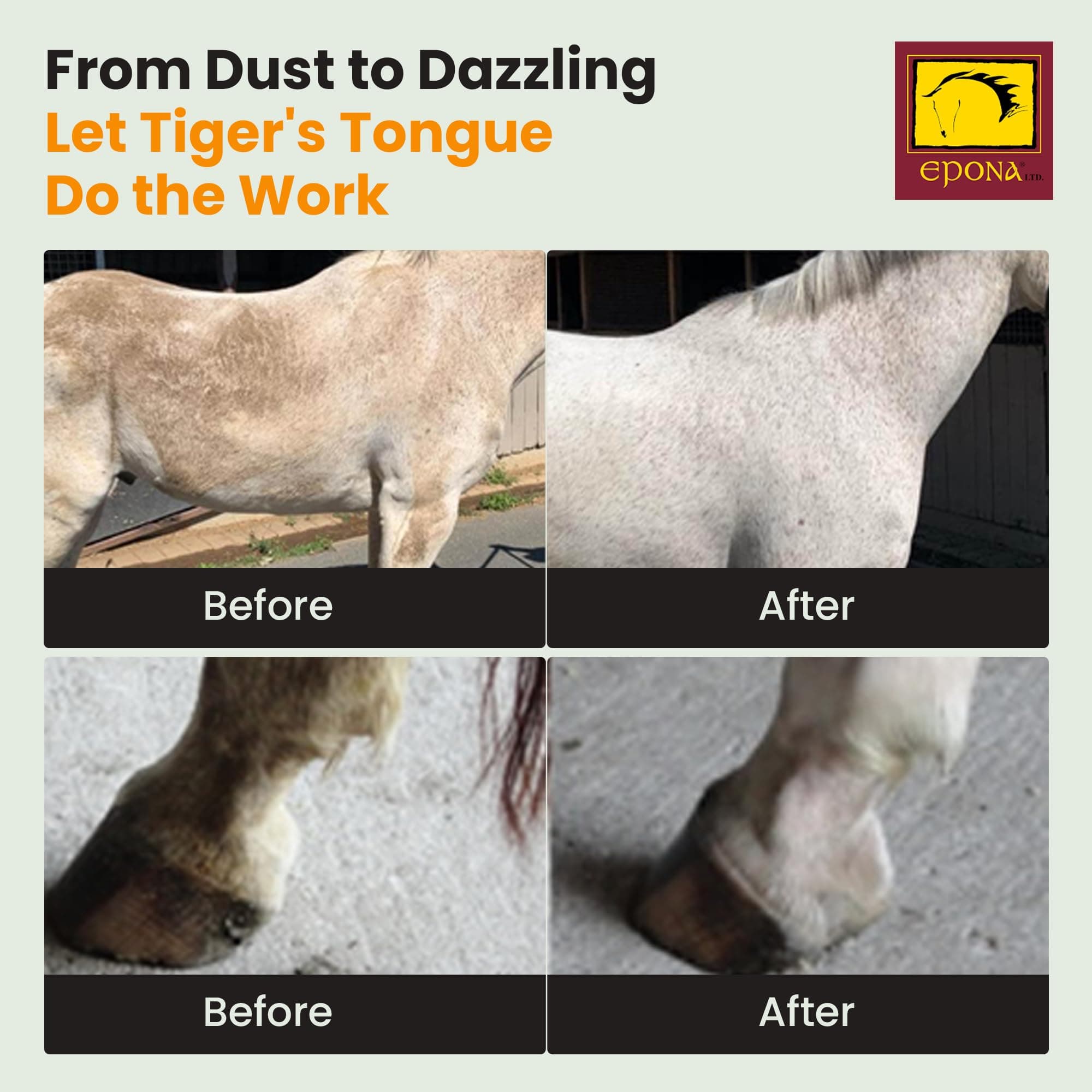 EPONA Tiger's Tongue Horse Groomer