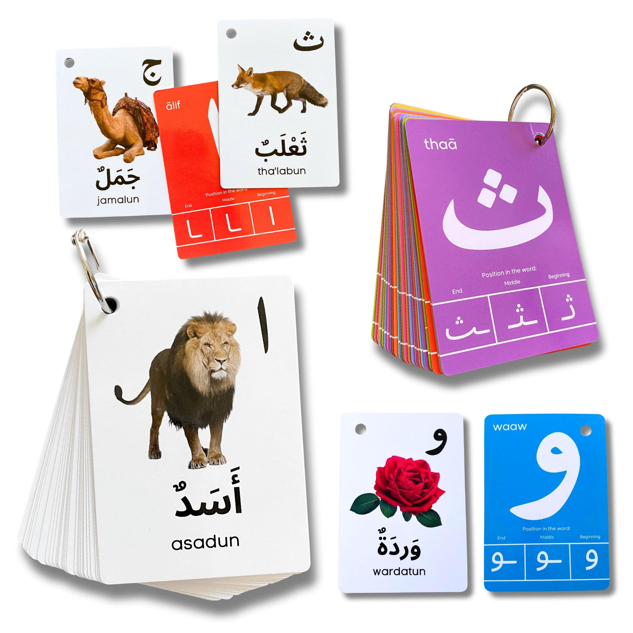Arabic Alphabet Flash Cards for Kids Toddlers Adults Arabic First Word Letter Recognition Home School Learning Arabic Teacher