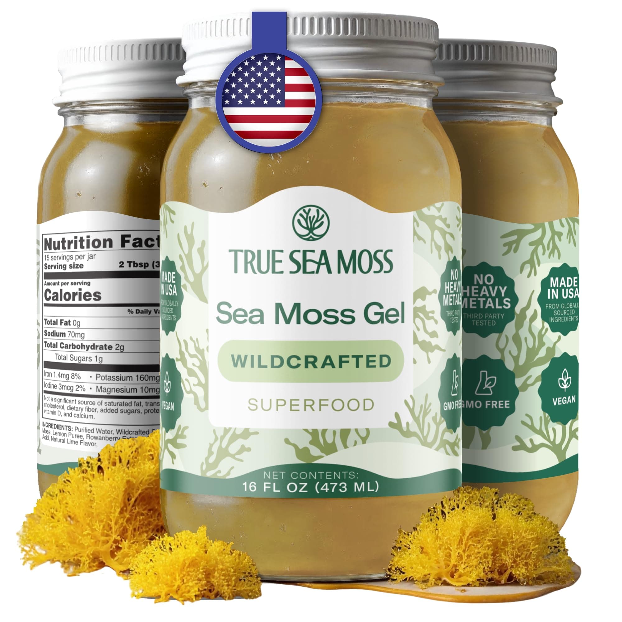 TrueSeaMoss Sea Moss Gel – Made in USA – Wildcrafted Seamoss, Dried Seaweed & Sea Vegetables – Original, Pack of 1 (Labels may Vary)