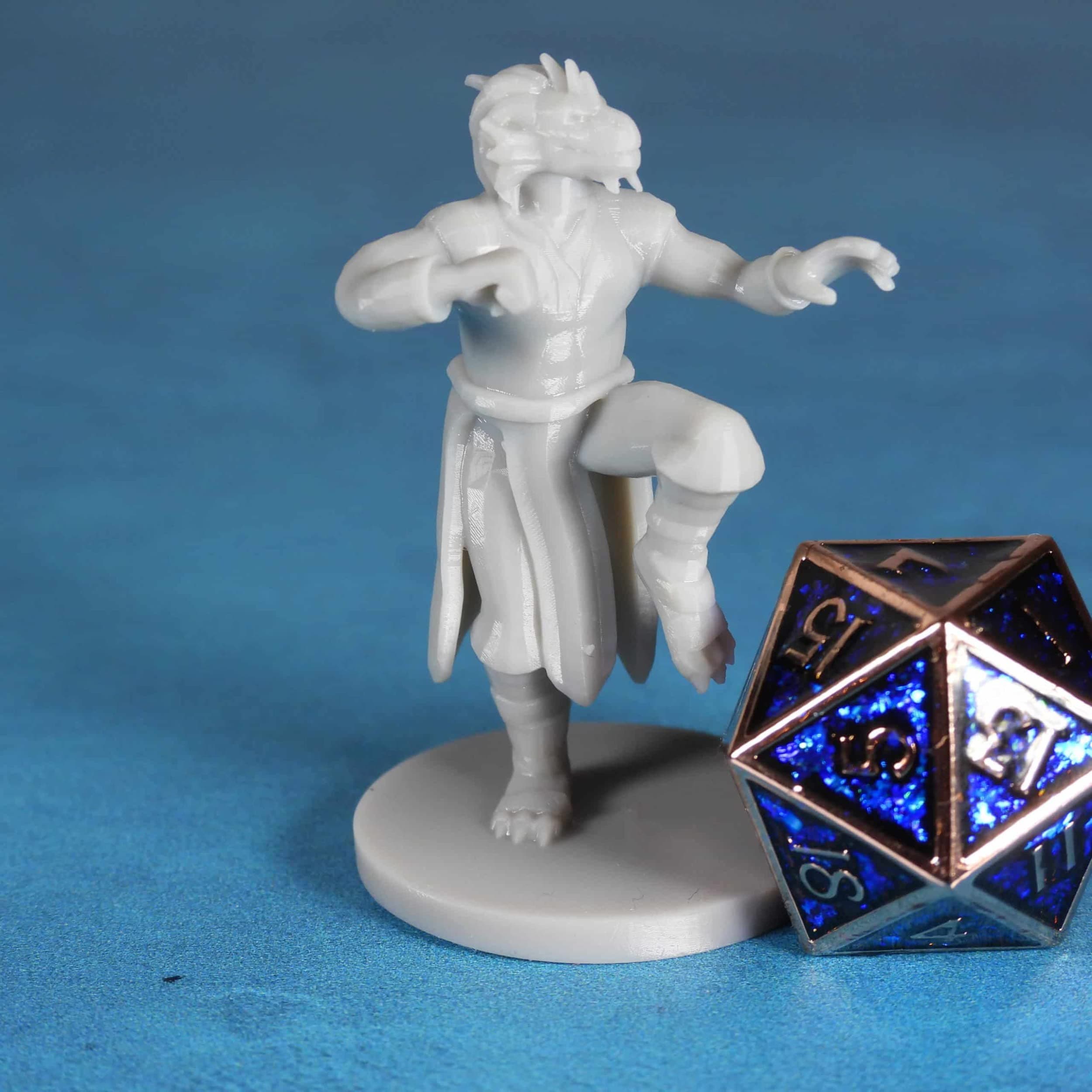 Dragonborn Male Monk in Fighting Pose