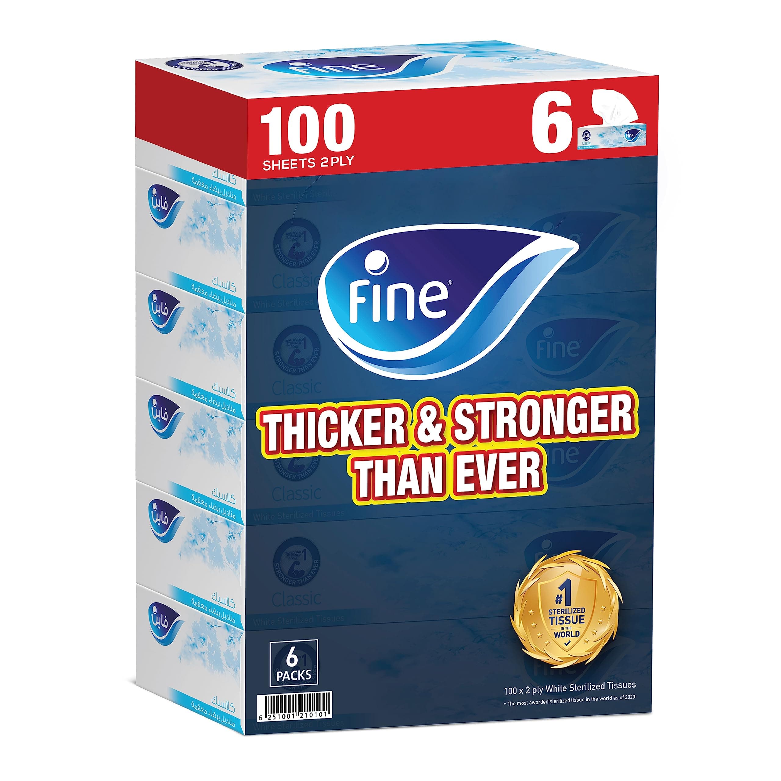 Facial Tissue Boxes, 6 Packs of 100 Sheets x 2 Ply