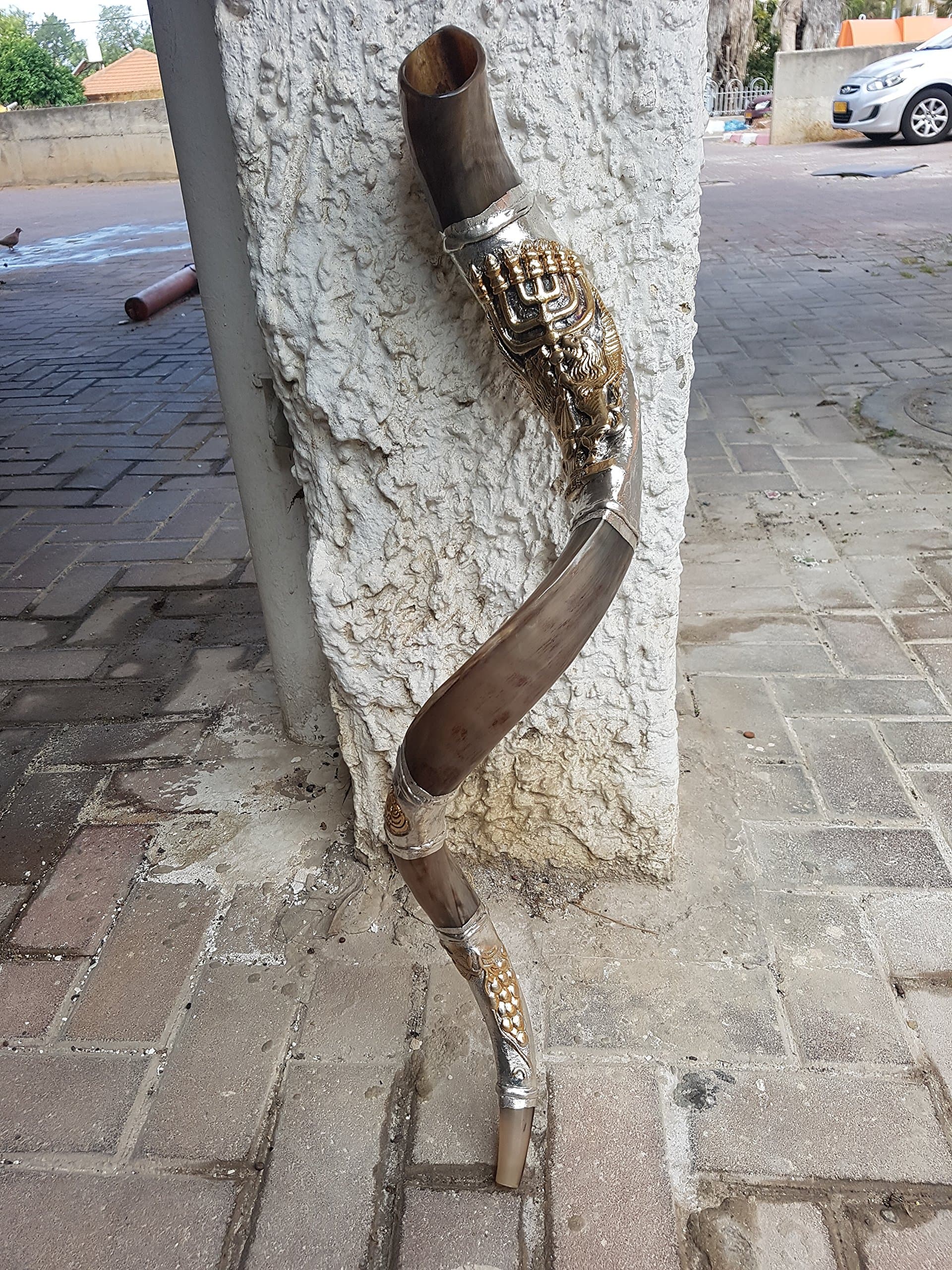 Shofar Yemenite Kudu Horn 38'' + with Sterling Silver Plated Lion of Judah Menorah + bag