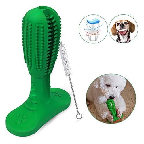 Popetz Dog Toothbrush Stick Dog Brushing Stick for Medium and Large Dogs Pets Dental Care with Small Cleaning Brush (Green)