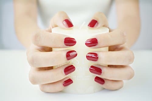 LIHI Color Lab EXTRE Adhesion 22PCS Nail Art Transfer Decals Sticker DIY Nail Polish Strips,Nail Wraps, Nail Patch, 100% Real Nail Polish Sheets Applique for Manicure, Wedding, Party, A002 Rouge