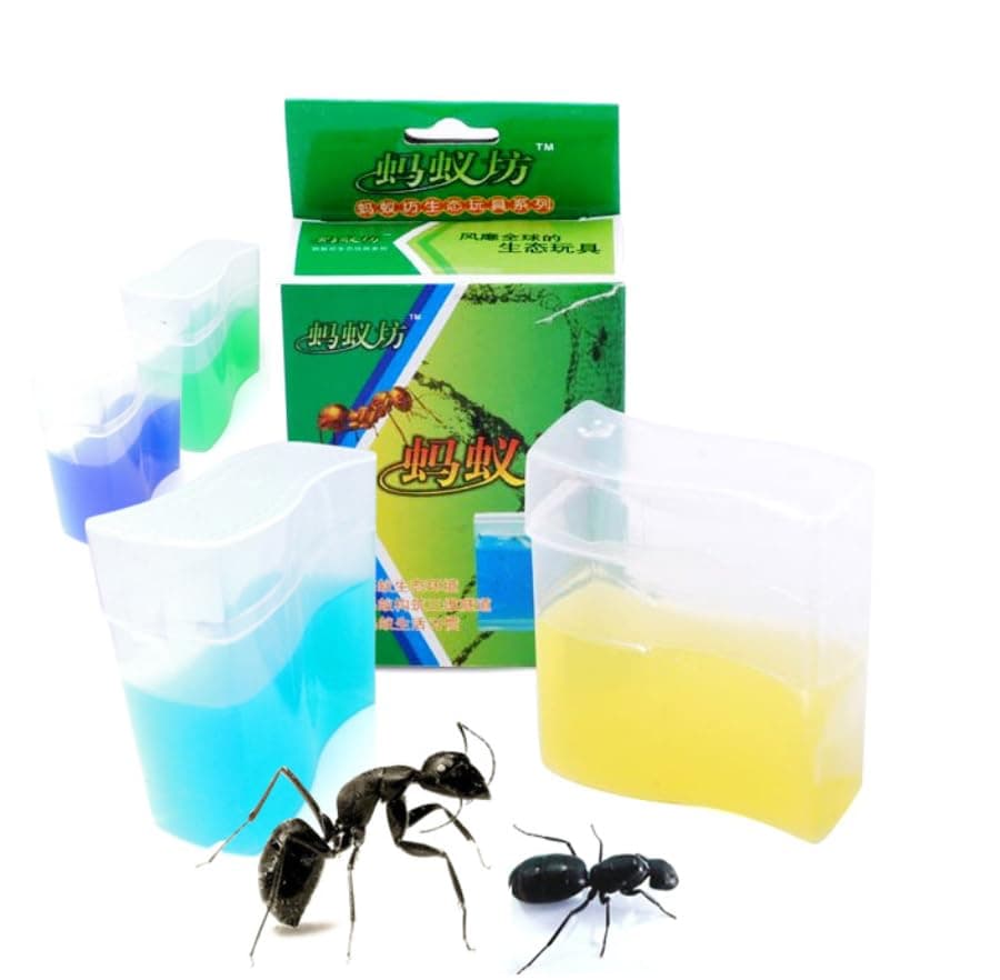 Yellow Gel Ant Farm (1) Reality Show 24/7 365