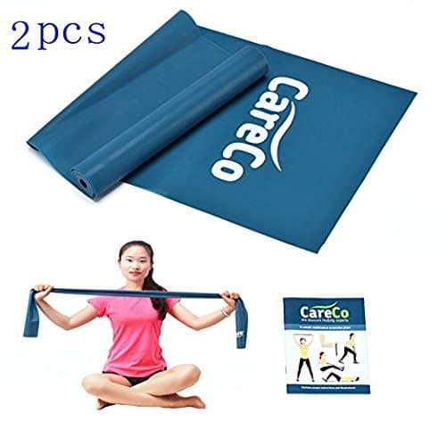 EXEFIT Resistance Exercise Band Fitness Workouts - With Carry Bag and Instruction Book