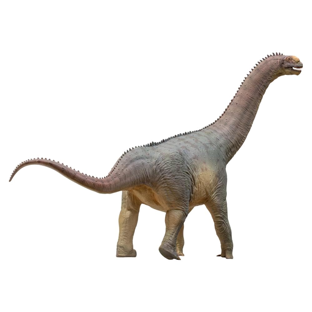 PNSO Prehistoric Dinosaur Models:85 Njor The Camarasaurus