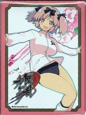 Character Card Sleeves EX Series Senran Kagura HIBARI MTG TCG CCG Anime Game SK Japan