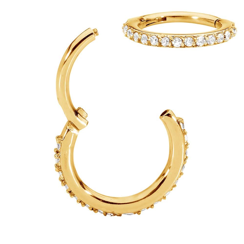 365 SLEEPERS316L Surgical Steel Unisex 16G Gem Hinged Segment Ring Helix Tragus Septum Nose Hoop Earring Body Piercing Jewellery 7mm - 14mm