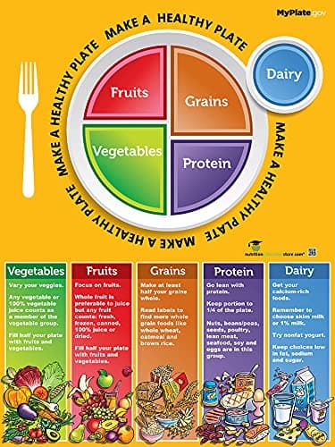 Nutrition Education Store MyPlate Poster - English - Large 18 inches by 24 Inches - Laminated