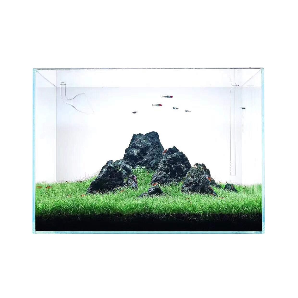 Lake Light Ultra Clear Rimless Aquarium Tank, Low Iron Crystal Glass, Fish Tank with Arc-Shaped Edge, with Foam Leveling Mat