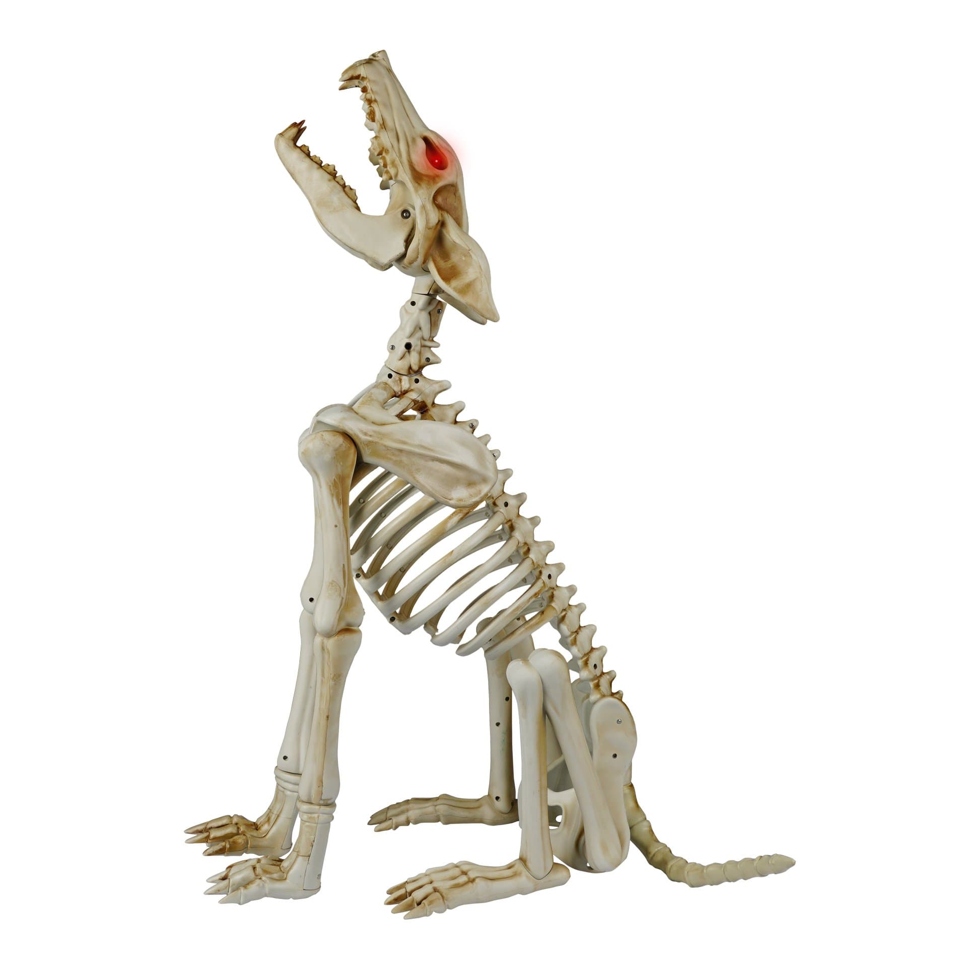 31 Inch Life Size Animated Halloween Howling Wolf Crazy Bones with Sound - Eyes Light Up Red