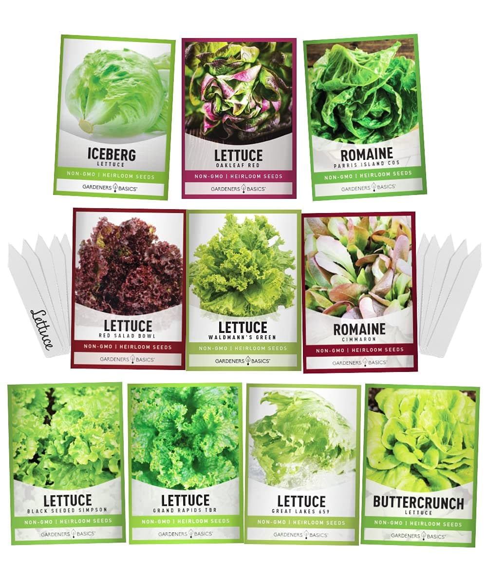 Gardeners Basics, Salad Greens Lettuce Seeds Heirloom Vegetable Seed 23,000 Seeds for Planting Indoors and Outdoor 10 Packs - Buttercrunch, Romaine, Iceberg, (and More) Leaf and Head Variety Pack