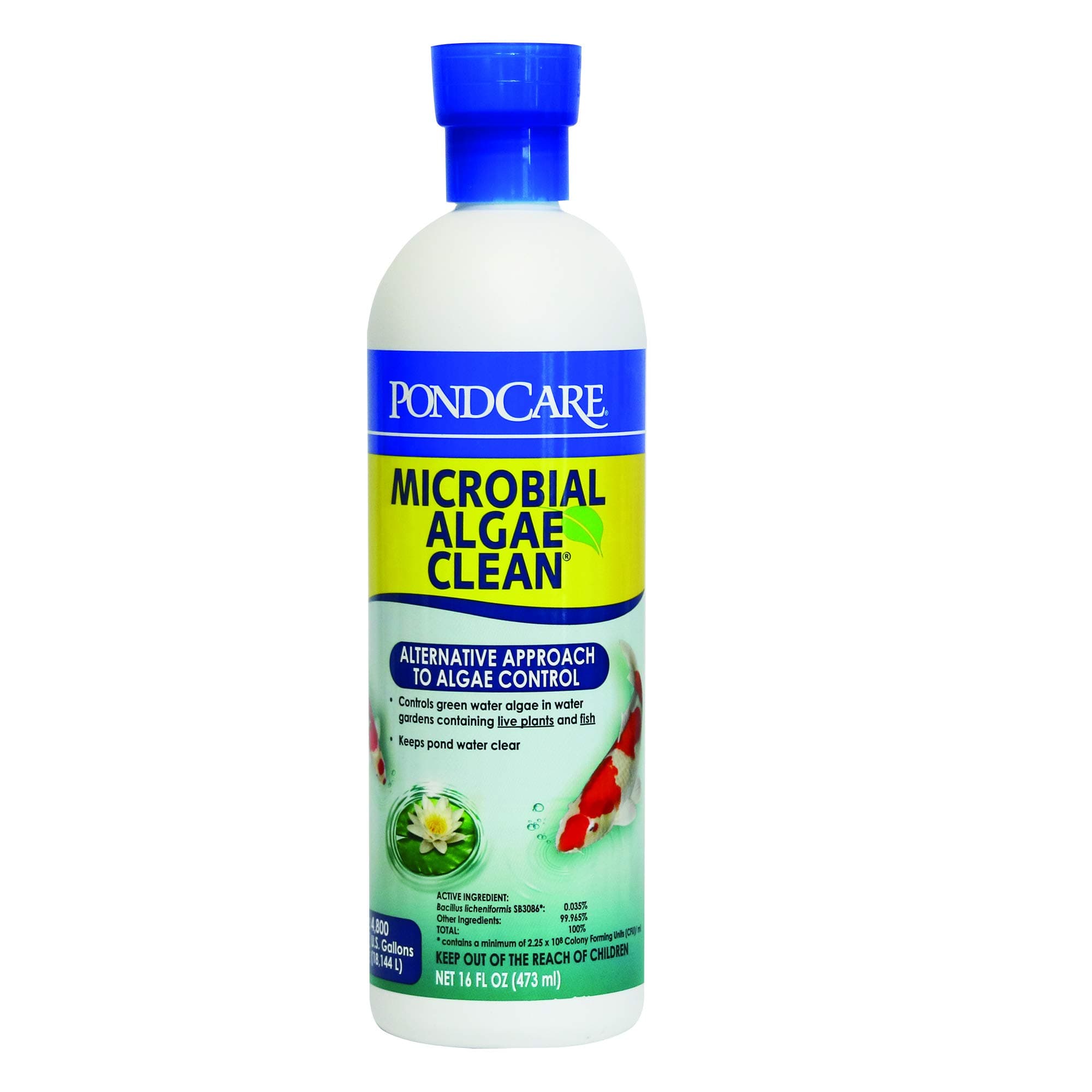 Pond Microbial Algae Clean, 16 Oz