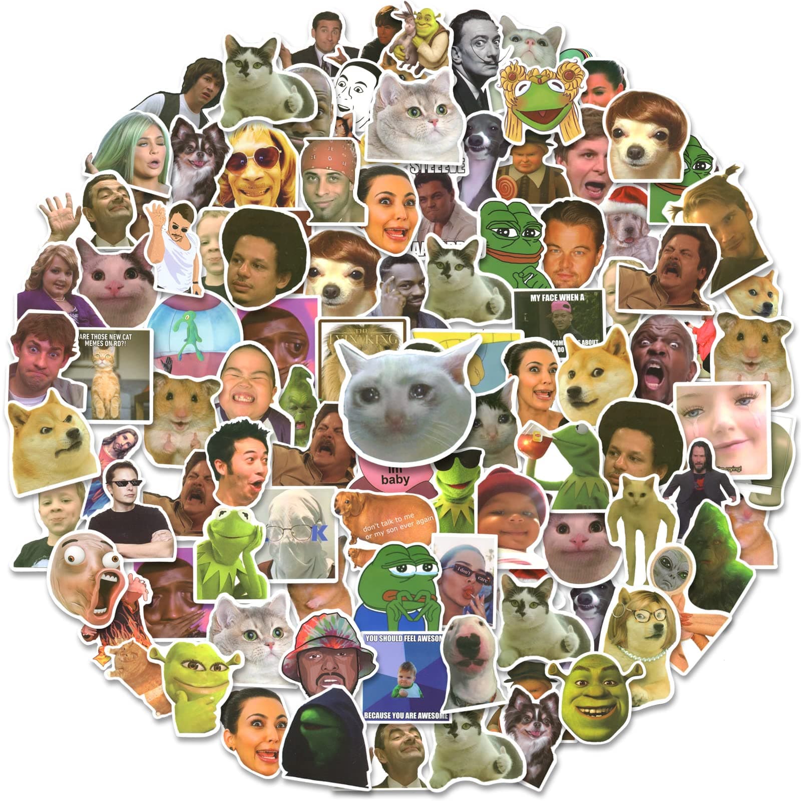 LIFEBE 150 PCS Funny Meme Sticker Pack, Trendy Stickers for Water Bottle Laptop Notebook,Waterproof Vinyl Stickers for Adults Teens(Cursed Stickers)